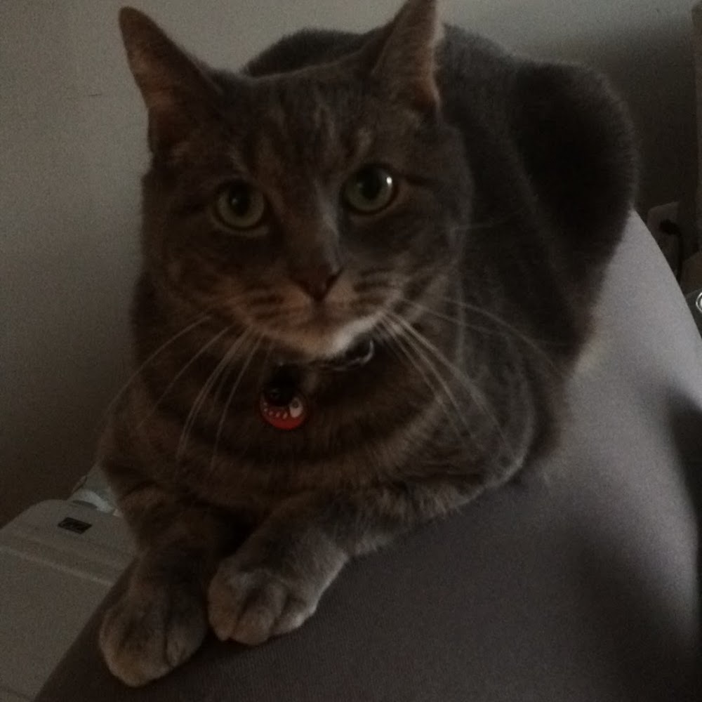 Meet your Posher, Jackie